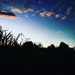 Low angle view of silhouette trees against sky at sunset