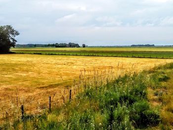 Scenic view of field against sky