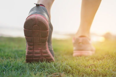 Low section of person standing on field