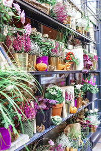 Vegetables for sale