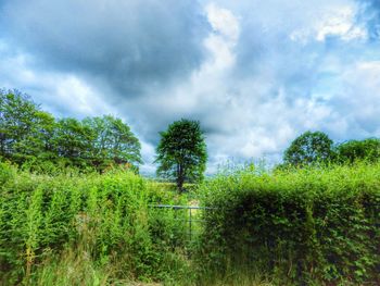 Scenic view of field against cloudy sky