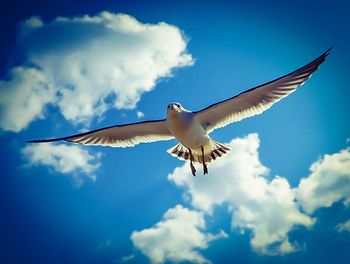 Low angle view of seagulls flying against cloudy sky