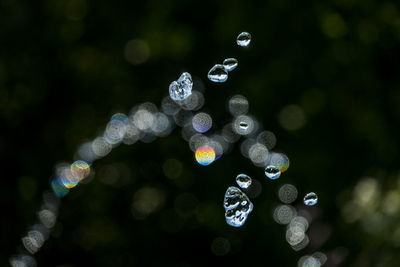 Close-up of water drops on bubbles