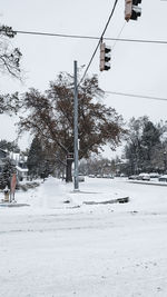 Trees on snow covered field against sky
