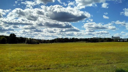 Scenic view of grassy field against sky