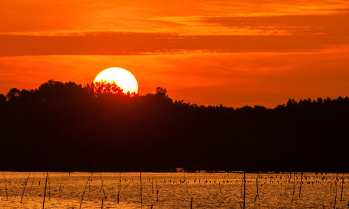 Scenic view of silhouette trees against orange sky