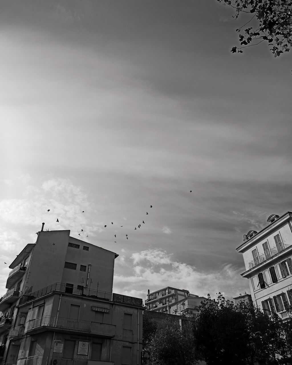 LOW ANGLE VIEW OF BUILDINGS AGAINST SKY IN CITY