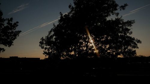 Silhouette trees against sky