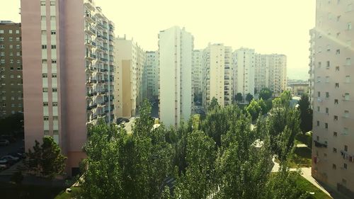 Trees and buildings in city against clear sky