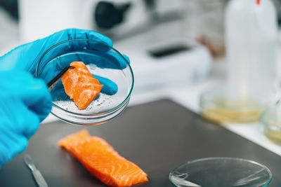 Food safety and quality control - microbiological analysis of salmon fish in laboratory