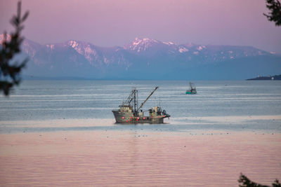 Fishing siener herring fishing on the pacific ocean at sunset 