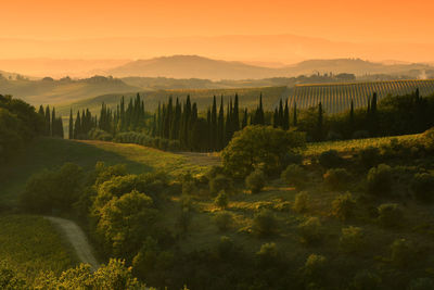 Scenic view of landscape during sunset