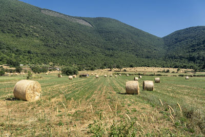 Hay bales on field against sky