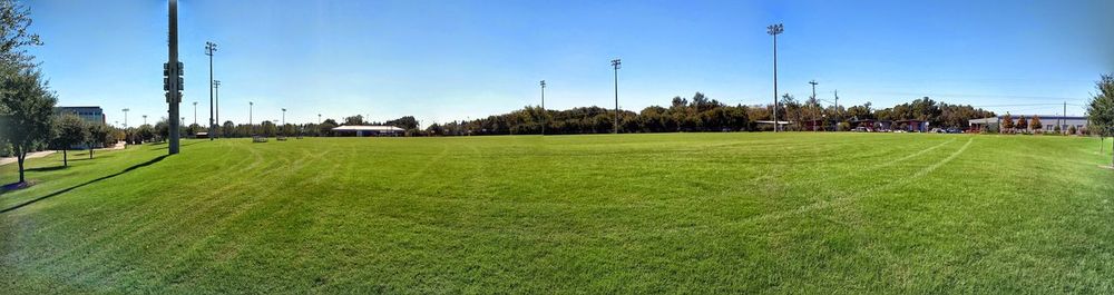 Trees on grassy field against blue sky