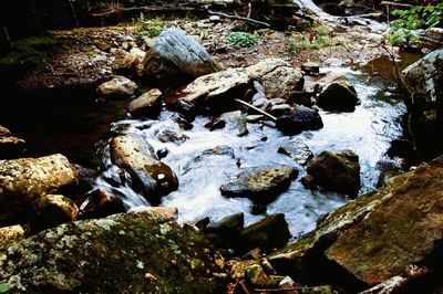 Close-up of rocks in water