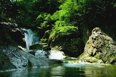 Scenic view of river flowing through rocks