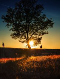 Silhouette tree on field against sky at sunset