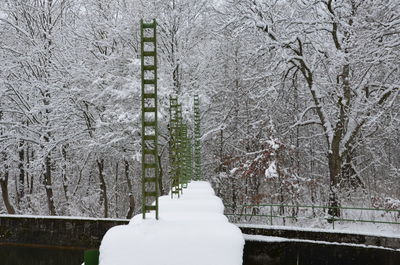 Close-up of frozen bare tree during winter