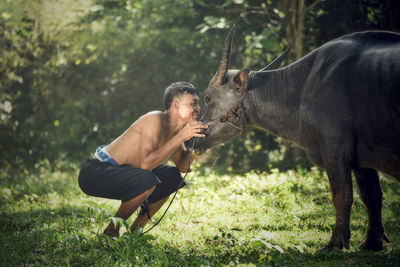 Happy man looking at cow on field