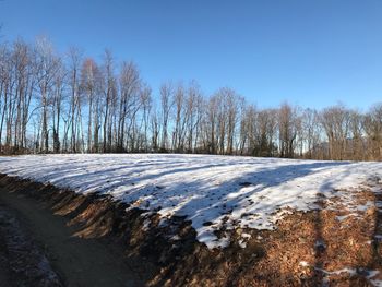 Scenic view of snow covered trees against clear sky