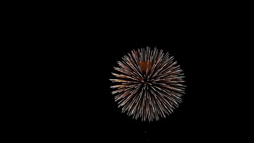 Low angle view of firework display at night