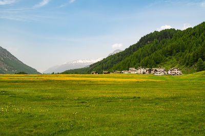 The village of isola in summer, on lake sils, engadin, switzerland.