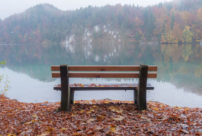 Bench by lake during autumn