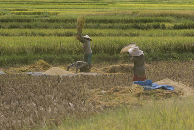 High angle view of farmers working in farm