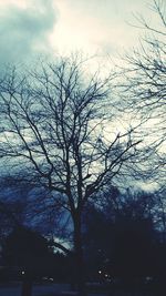 Low angle view of bare trees against cloudy sky