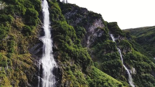 Low angle view of waterfall in forest