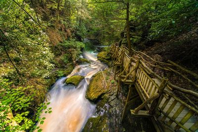 Wooden footbridge by bushkill falls