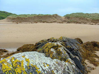 Ocean coastline, water retreating, sand, seaweed, rocks and green hills in the background