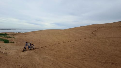 Rear view of people riding bicycle on sand