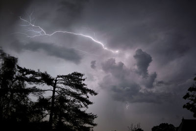 Low angle view of lightning against sky at night