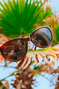 Close-up of sunglasses on glass