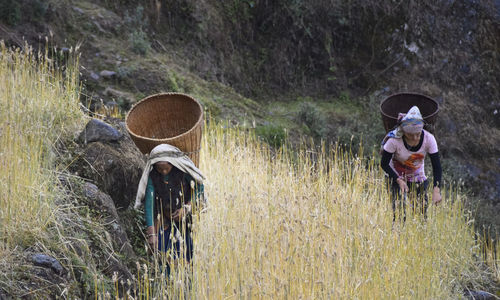 People in field