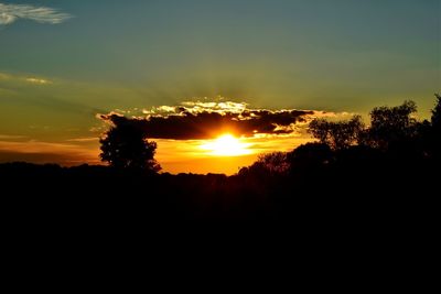 Silhouette trees against sky during sunset