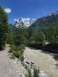 Plants growing by river against sky