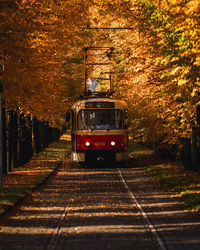 Train on railroad track