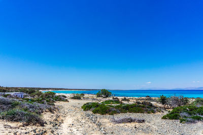 Scenic view of beach against clear blue sky