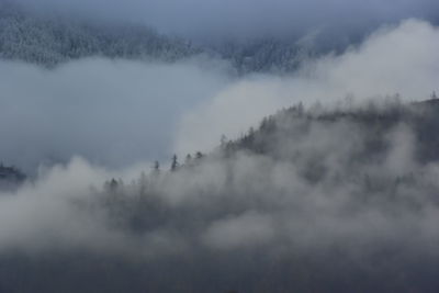 Scenic view of landscape against sky during foggy weather