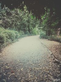 Surface level of footpath