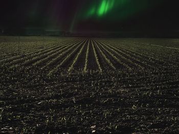 Scenic view of field against sky at night