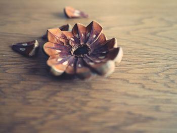 Close-up of pine cone covered on table