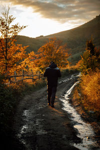 Rear view of man walking on road amidst trees during autumn