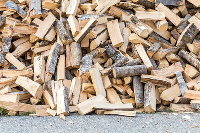 Stack of logs in forest