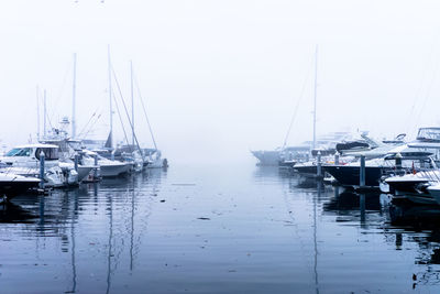 Boats moored at harbor