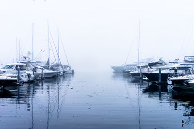 Boats moored in harbor at sea against sky in foggy weather