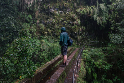 Full length of man standing on wall in forest