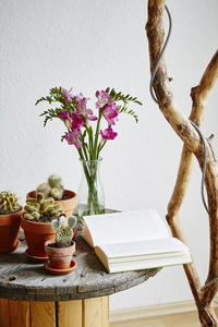 Close-up of potted plant on table against wall at home